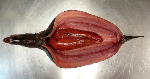 My fish butchery has been commended as being strongly vaginal which bothers some men. 