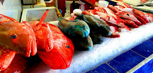 5 Deciembre fish market.  Puerto Vallarta, Mexico.